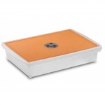 Коробка из пластика 10 л. 45х30х9 см. цвет в ассортименте, A.B.M.-  Италия